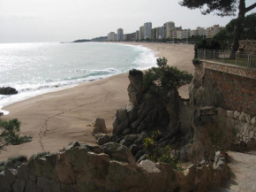 Zona Centro Cerca De Mar